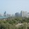 Deweloperów z Dubaju i Abu Zabi ratują petrodolary