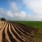 Rekordowy wzrost cen ziemi rolnej