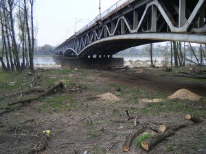 most średnicowy by Tadeusz Rudzki