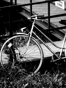 rower by Piotr Frydecki