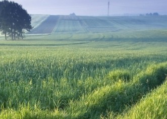 Nowe ograniczenia w obrocie ziemią rolniczą na Słowacji